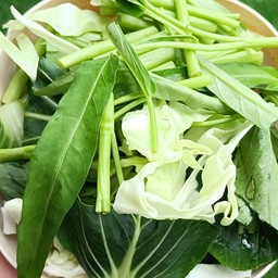 ผักรวม
