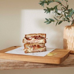 Ham and Cheese panini with fries