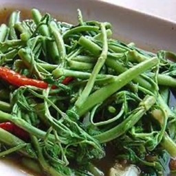 กระเฉดไฟแดง