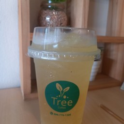 นำ้ผึ้งมะนาวโซดา