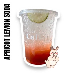Iced Apricot Lemon Soda