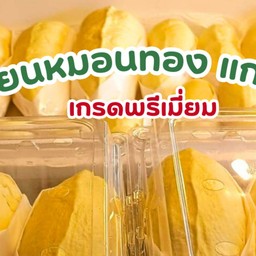 ฟรีเมี่ยมฟรุ๊ตแลนด์ LT บางใหญ่