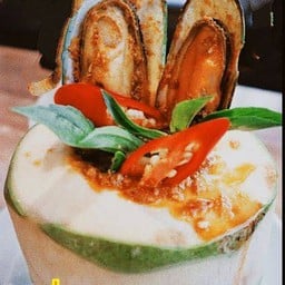 ร้านโลมา