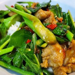 ข้าวคะน้าหมูหมักน้ำมันหอย