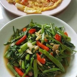 ผัดผักบุ้ง น้ำมันหอย