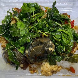 ไข่เยี่ยวม้าไก่กะเพรากรอบราดข้าว