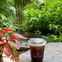 ICED AMERICANO