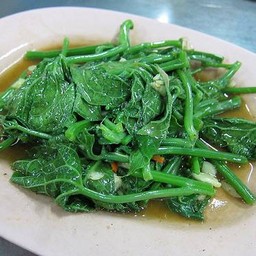 ยอดมะระผัดน้ำมันหอย