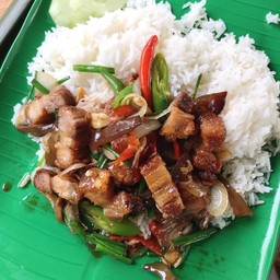 ข้าวราดผัดพริกหมูกรอบ