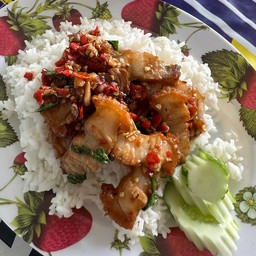 ก๋วยจั๊บ ข้าวขาหมู ข้าวหมูกรอบ ข้าวกะเพรา และอาหารป่า