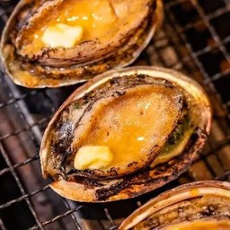 鲍鱼หอยเป๋าฮื้อ
