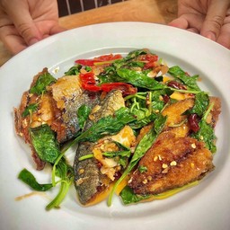 ปลาทูผัดโหระพา(ราดข้าว)