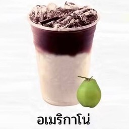 นกฮูกตาโตคอฟฟี่