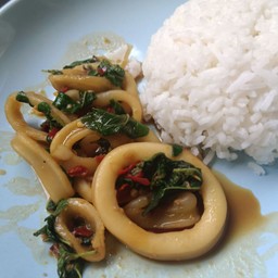 กะเพราปลาหมึกหั่นวง
