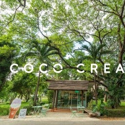 Coco creamery ไอศกรีม ม.เกษตรฯ กพส