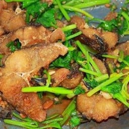 ปลาช่อนผัดคึ่นช่าย