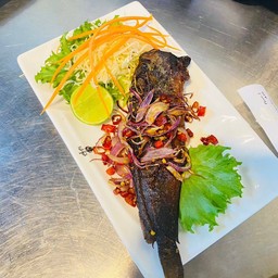 ปลาดุกร้าทรงเครื่อง