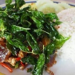 กระเพราเยี่ยวม้าหมูสับ