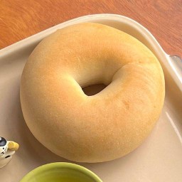 Plain Bagel