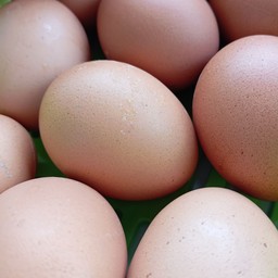 ร้านโจ๊กหม้อดิน เฮง เฮง เฮง สาขา 1 หน้าโลตัส บงกช 31