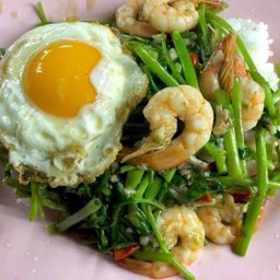 ข้าวราดกุ้งผัดผักบุ้ง+ไข่ดาว