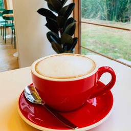 Cappuccino (ร้อน)