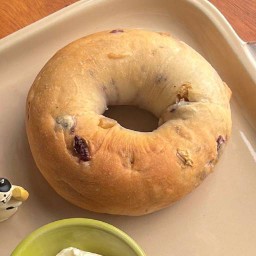 Cranberry & Walnut Bagel