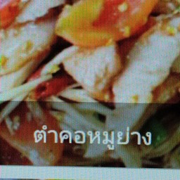 ตำคอหมูย่าง