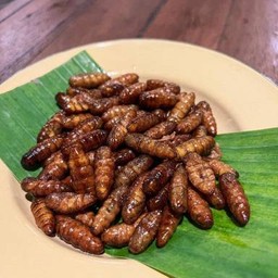 ดักแด้ทอดคั่ว