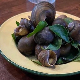 หอยโข่งย่าง