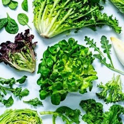 Veggie Brunch ภูเก็ต