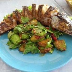 ปลาทับทิมราชบุรี