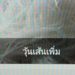 วุ้นเส้นเพิ่ม