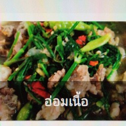 อ่อมเนื้อ