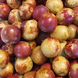 พุทราจีนช็อคโกแลต