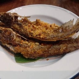 ปลาเนื้ออ่อนทอดกระเทียม