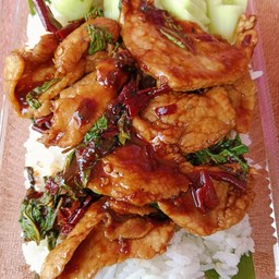 กระเพราหมูชิ้นราดข้าว