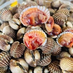 หอยแครงลวก