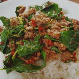 กระเพราเนื้อราดข้าว