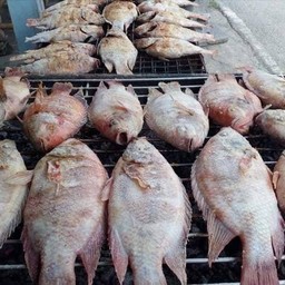 ไซร์เล็ก+ชุดเมี้ยง