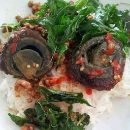 ข้าวกระเพรากรอบหมูสับไข่เยี่ยวม้า