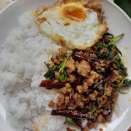 น้องอลิส กระเพรา20฿