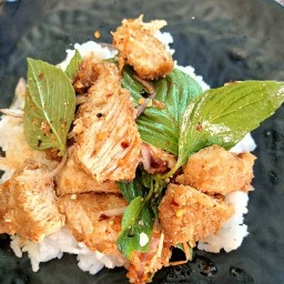 กอไผ่2 กอไผ่2