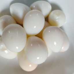 ไข่นกกะทา