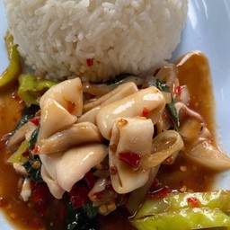 ข้าวกะเพราปลาหมึก