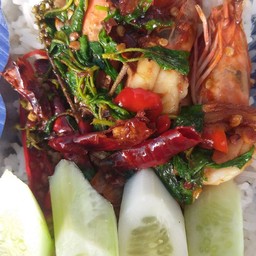 ผัดกระเพรากุ้งราดข้าว