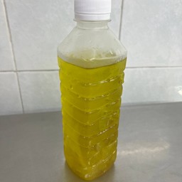 เก๊กฮวย