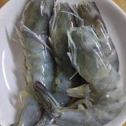 กุ้ง