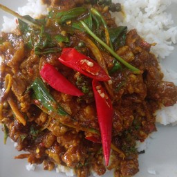 ผัดเผ็ดไก่  ราดข้าว