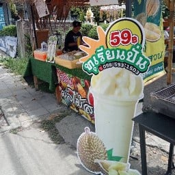 ราชาเห็ดป่า
